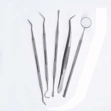 Dental Ausrüstung Edelstahl Dental Werkzeug Set Sonde Zahnpflege Kit Instrument Pinzette Hacke Sichel Scaler